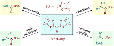 Graphical abstract: Recent progress in the catalytic enantioselective reactions of 1,1-diborylalkanes