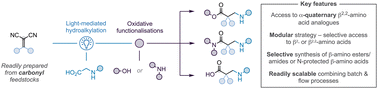 Graphical abstract: Modular synthesis of congested β2,2-amino acids via the merger of photocatalysis and oxidative functionalisations