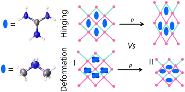 Graphical abstract: Negative linear compressibility exhibited by the hybrid perovskite [(NH2)3C]Er(HCO2)2(C2O4)