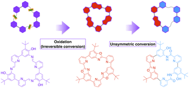 Graphical abstract: Synthesis of a macrocyclic oligomer of pyridylbenzoxazole utilizing dynamic covalent bonds and its unsymmetric conversion