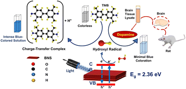 Graphical abstract: Photoenhanced intrinsic peroxidase-like activity of a metal-free biocompatible borophene photonanozyme for colorimetric sensor assay of dopamine biomolecule