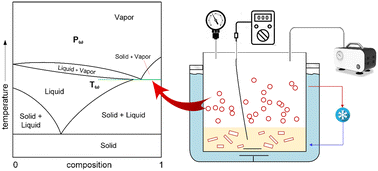 Graphical abstract: A multi-stage crystallization separation process operated under three-phase conditions to obtain high-purity and high-yield para-xylene from xylene mixtures
