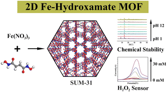 Graphical abstract: A siderophore-inspired two-dimensional Fe–hydroxamate metal–organic framework