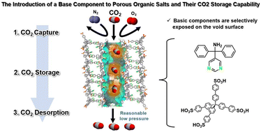 Graphical abstract: The introduction of a base component to porous organic salts and their CO2 storage capability