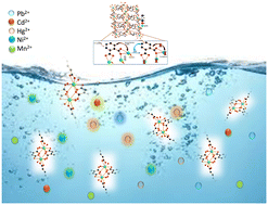 Graphical abstract: Selective and efficient detection of Pb2+ in aqueous solution by lanthanoid-organic frameworks bearing pyridine-3,4-dicarboxylic acid and glutaric acid
