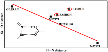 Graphical abstract: On the inverse correlation between the hydrogen bond strength and chalcogen bond strength in the cyclic supramolecular heterosynthon [–Se–N [[double bond, length as m-dash]] ]⋯[HOOC–]