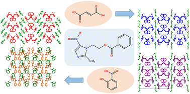 Graphical abstract: Polymorphism in cocrystals of metronidazole benzoate