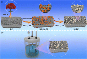 Graphical abstract: Ni nanoparticles assembled on the surface of biomass-derived porous carbon as competitive candidates for the hydrogen evolution reaction