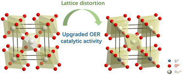 Graphical abstract: Alkali metal doped ruthenium dioxide nanosheets with lattice distortion as highly active oxygen evolution electrocatalysts in acidic media
