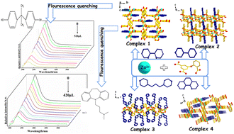 Graphical abstract: Four Zn(ii)-5-(2-carboxy-phenoxy)-1,3-benzenedicarboxylate coordination polymers induced by different N-ligands: synthesis, structure, and fluorescence detection for BPA and IMH
