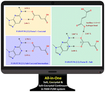 Graphical abstract: Famciclovir–fumaric acid: an all-in-one multicomponent system with salt, cocrystal and salt–cocrystal continuum