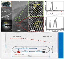 Graphical abstract: Black-phosphorus crystal growth model deduced from the product distribution state under different process factors