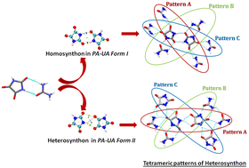 Graphical abstract: Polymorphism in parabanic acid-urea cocrystals governed by supramolecular synthons: a comparative analysis