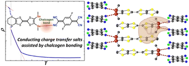 Graphical abstract: Chalcogen bonding and variable charge transfer degree in two polymorphs of 1 : 1 conducting salts with segregated stacks
