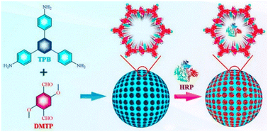 Graphical abstract: Enzyme-immobilized spherical covalent organic frameworks as nanoreactors for heterogeneous biocatalysis
