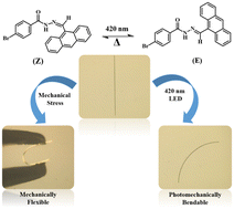 Graphical abstract: Stress and light sensitive dual-mechanical property of acylhydrazone crystal