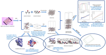 Graphical abstract: The effect of solvent–crystal interaction on the morphology of a solvate of rifampicin