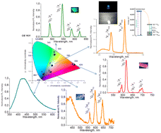 Graphical abstract: Supramolecular lanthanide assemblies with cucurbit[6]uril: from synthesis and crystal structure to application