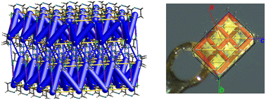 Graphical abstract: The relationship between the crystal habit and the energy framework pattern: a case study involving halogen bonding on the edge of a covalent bond