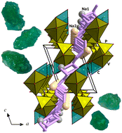 Graphical abstract: Na3(VO)(PO4)(CO3): a synthetic member of the bradleyite phosphate carbonate family with a new type of crystal structure