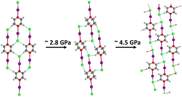 Graphical abstract: High-pressure induced switching between halogen and hydrogen bonding regimes in 1,4-dioxane iodine monochloride