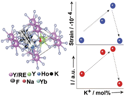 Graphical abstract: K+-doped P [[6 with combining macron]]  crystals of NIR-upconverting NaYF4:Yb3+/Ho3+ conform to the ‘strain–intensity’ relationship