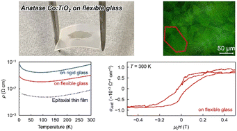 Graphical abstract: A transparent room-temperature ferromagnetic semiconductor on glass: anatase Co-doped TiO2 oriented thin films with improved electrical conduction