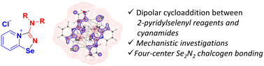 Graphical abstract: Mechanistic investigation of 1,3-dipolar cycloaddition between bifunctional 2-pyridylselenyl reagents and nitriles including reactions with cyanamides