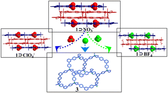 Graphical abstract: Anion-dependent dynamic structure and tunable luminescence of Zn-MOFs with carboxyphenyl-terpyridine ligands
