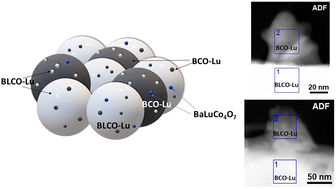 Graphical abstract: Oxide nanoparticle exsolution in Lu-doped (Ba,La)CoO3