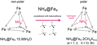 Graphical abstract: Crystallographic and dielectric studies of tetrahedral {NH4@Fe4} crystallized with halomethane molecules