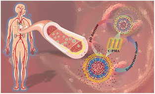 Graphical abstract: Controlled long-term sustained release of poly(lactic acid) composite microspheres with dual-responsive cellulose nanocrystals