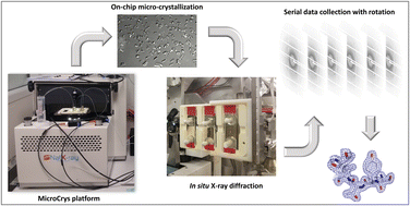 Graphical abstract: Microdialysis on-chip crystallization of soluble and membrane proteins with the MicroCrys platform and in situ X-ray diffraction case studies