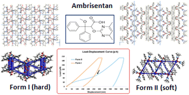 Graphical abstract: Structural insights into mechanical anisotropy in ambrisentan polymorphs
