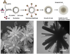 Graphical abstract: Synthesis of highly regular dandelion-like hydroxyapatite particles—a Taguchi experimental design approach