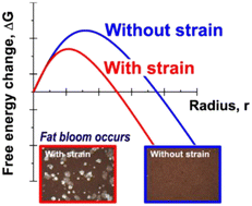 Graphical abstract: Effect of accumulated strain on fat bloom in CBS-based compound chocolates