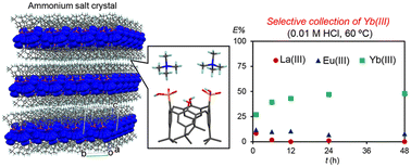 Graphical abstract: Selective collection of Yb(iii) over La(iii) and Eu(iii) from aqueous solution by bis(tetramethylammonium) salt crystals of p-tert-butylcalix[4]arene-1,3-diphosphonic acid