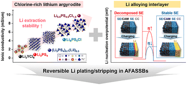 Graphical abstract: Chlorine-rich lithium argyrodite enables stable interfacial Li plating/stripping behavior in anode-free all-solid-state batteries