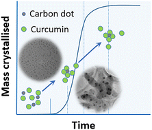 Graphical abstract: Dotted crystallisation: nucleation accelerated, regulated, and guided by carbon dots