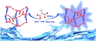 Graphical abstract: A novel Co(ii)-based MOF with selective fluorescence as a turn-on sensor for biomarker methylmalonic acid
