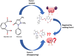 Graphical abstract: In the pursuit of a ‘disappearing’ anhydrous phase of the antipyrine–dipicolinic acid (ANT–DPA) co-crystal: explained through relative stability and charge density analyses