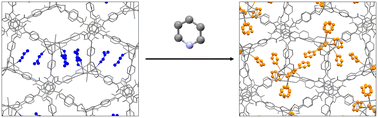 Graphical abstract: Encapsulation of N-containing compounds in a new hydrophilic Cd-based crystalline sponge via coordinative alignment method