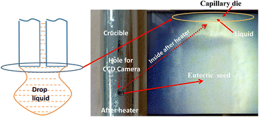 Graphical abstract: Cr-doped Al2O3–YAG binary and Al2O3–YAG–ZrO2 ternary eutectic materials crystallized by the micro pulling down technique and their characterization