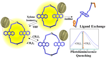 Graphical abstract: Single crystals of cyclodimeric zinc(ii) complexes containing 9,10-bis((isoquinolin-5-yloxy)methyl)anthracene: reversible adsorption of target molecules and recognition of CH2I2 in an SCSC mode