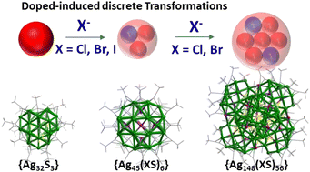 Graphical abstract: Transformations of silver(i) chalcogenide clusters induced by halide ions as dopant components rather than surface active species