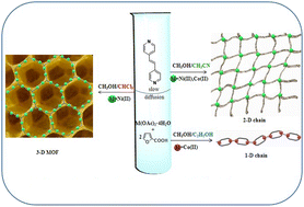 Graphical abstract: Solvent effect in the chemical design of coordination polymers of various topologies with Co2+ and Ni2+ ions and 2-furoate anions