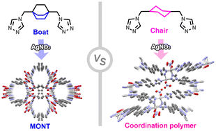 Graphical abstract: Di-triazole boat conformation leads to metal–organic nanotube while chair conformation leads to coordination polymer