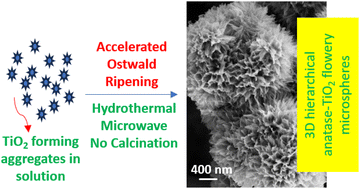 Graphical abstract: Microwave-assisted hydrothermal solution process for accelerated formation of 3D hierarchical flowery anatase-TiO2 microspheres with excellent photocatalytic activity