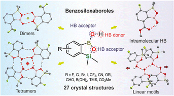Graphical abstract: Exploring the effect of substitution patterns on the symmetry of hydrogen-bonded supramolecular motifs in functionalized benzosiloxaboroles