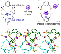 Graphical abstract: Assembling silver(i) coordination polymers of an NS4-macrocycle via an endo/exocyclic coordination mode